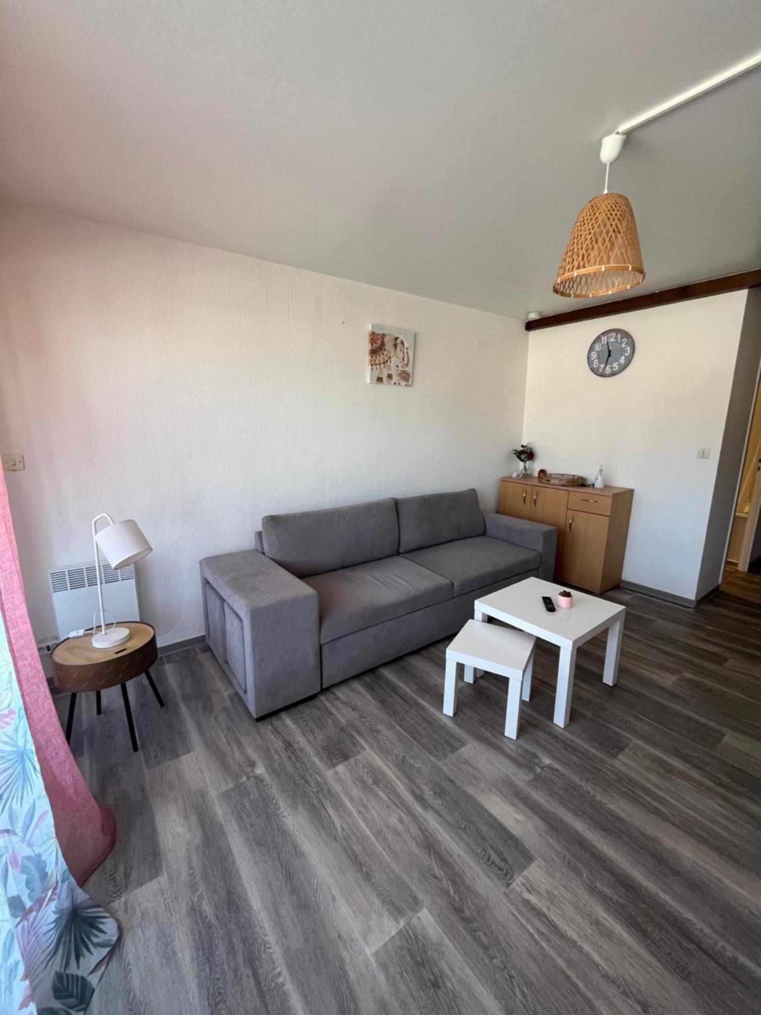 Appartement Argeles-Sur-Mer Avec Piscine A 500M De La Mer Εξωτερικό φωτογραφία
